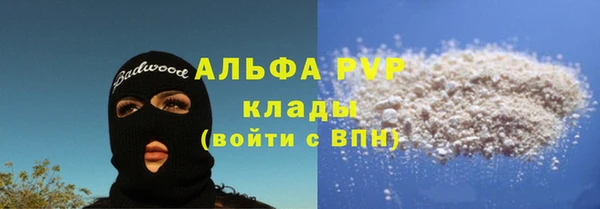 стафф Алексин