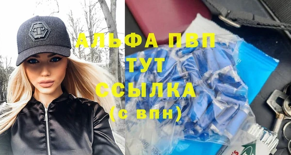 стафф Алексин