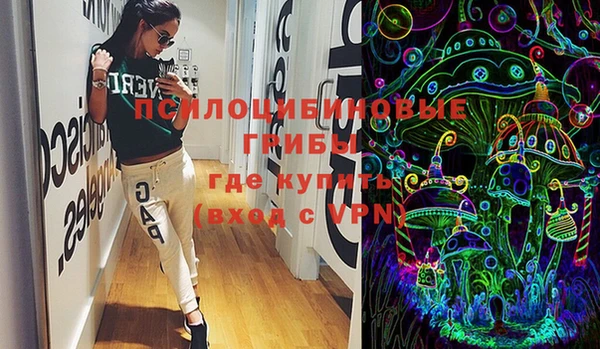 индика Алексеевка