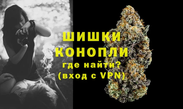 apvp Снежинск